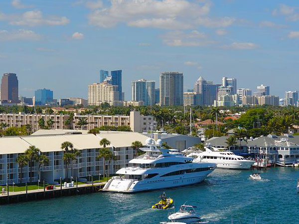 A view of boats in the water with palm trees.
